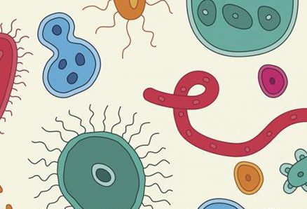 How Gut Bacteria Can Influence Food Choice!